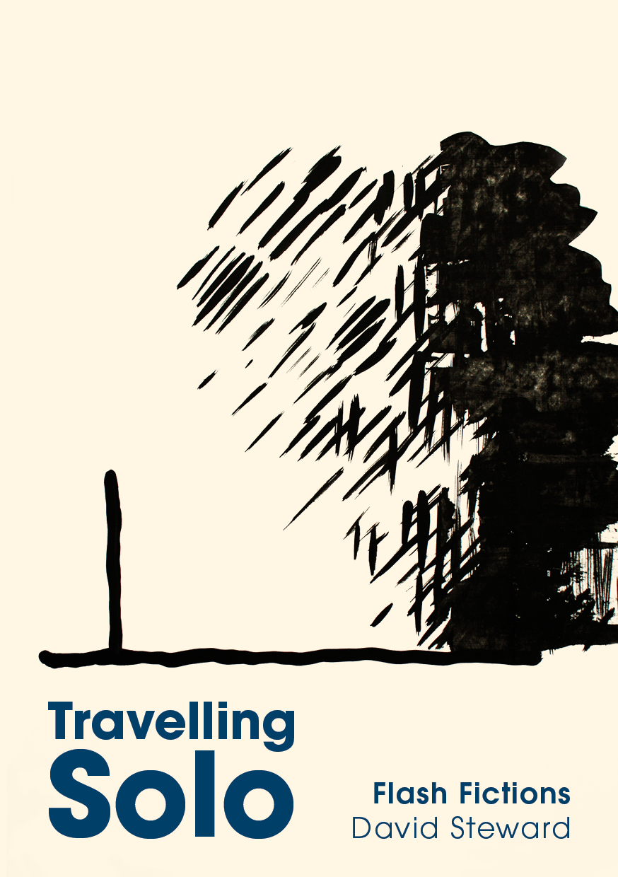 David Steward, Travelling Solo (2018) 25% IFFA members Discount
